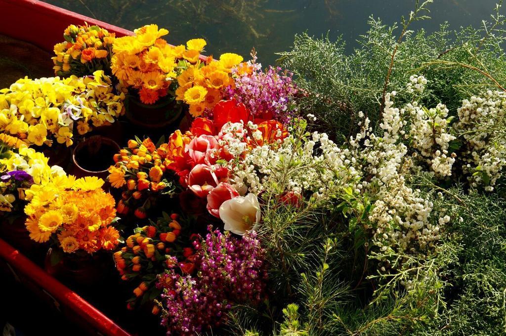 Akbar Group Of Heritage Houseboats Nagin Bagh Экстерьер фото